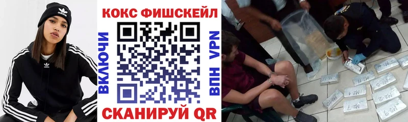 Купить закладки  Каменск-Шахтинский  COCAIN Fish Scale 