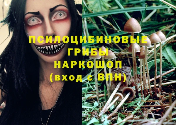 твердый Нязепетровск