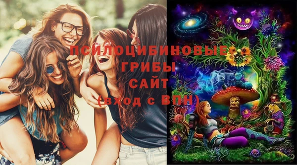 экстази Няндома